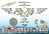 [CYCLE 2007]FLYER�摜�i�\�j